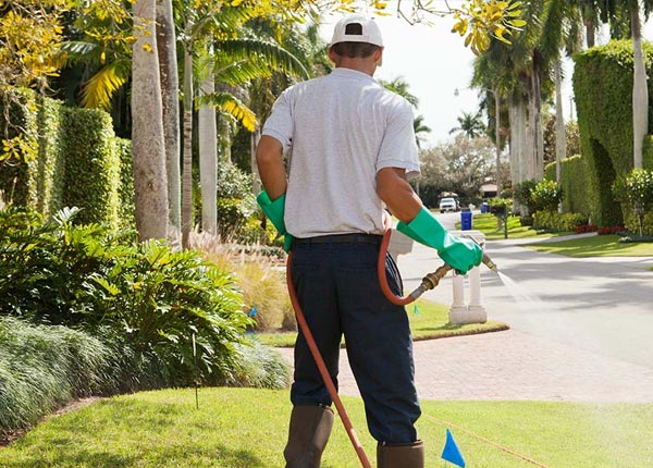 About Westover AL Pest Control Pros